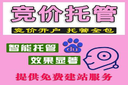 某品牌信息流竞价广告的成功案例分享